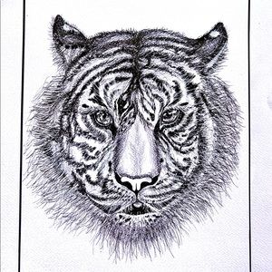 Abstract black and white line drawings Tiger
